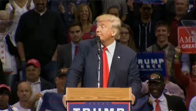 trump650