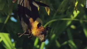 150408102950-sot-star-wars-sound-effects-disney-lucasfilm-00001627-exlarge-169