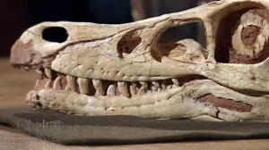 151119044325-on-china-dino-fossil-lu-stout-00001027-exlarge-tease