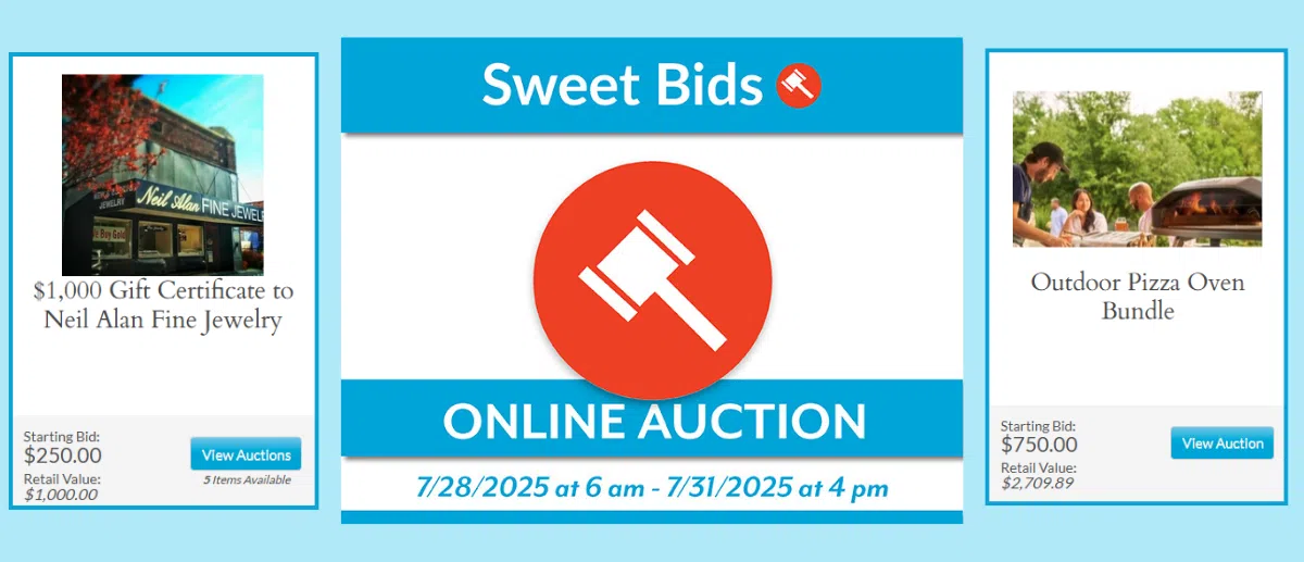 Feature: https://sweetbidstboi.irauctions.com/listing/0