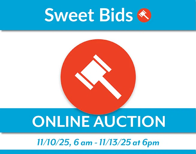 Feature: https://sweetbidstboi.irauctions.com/listing/0