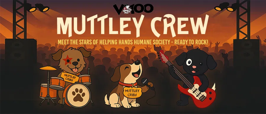 Feature: https://www.v100rocks.com/v100s-muttley-crew/