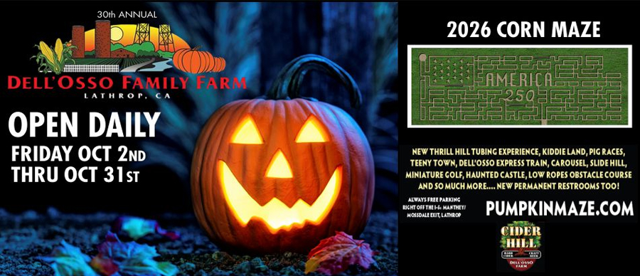 Feature: https://www.pumpkinmaze.com/
