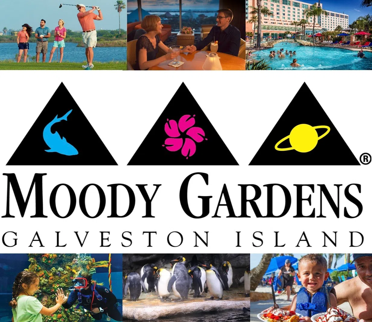 Moody Mondays Moody Gardens
