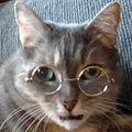 View the profile of "Wɑlter Croncat"
