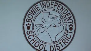 bowieisd