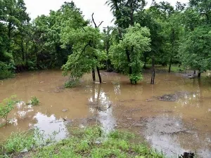 fema