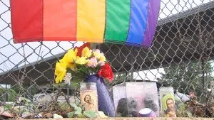 gay