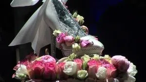 shoe