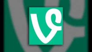 vine