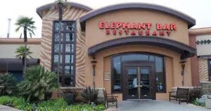 elephant-bar