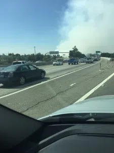 FIRE BRUSH 41