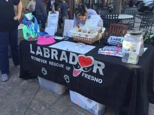 lab rescue
