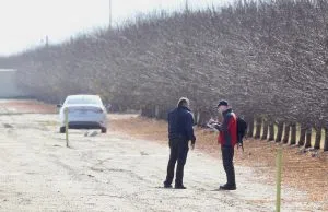 A National Transportation Safety Board investigator takes notes as he interviews a man near the site of an airplane crash in an almond orchard near Panama Lane west of Allen Road southwest of Bakersfield, Calif., on Sunday, Dec. 20, 2015. The crash occurred late Saturday afternoon, killing all five people onboard. (Henry Barrios/The Bakersfield Californian)