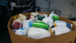 Poverello turkeys