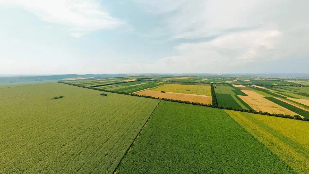 Lawmakers Propose Additional Aid for Farmers