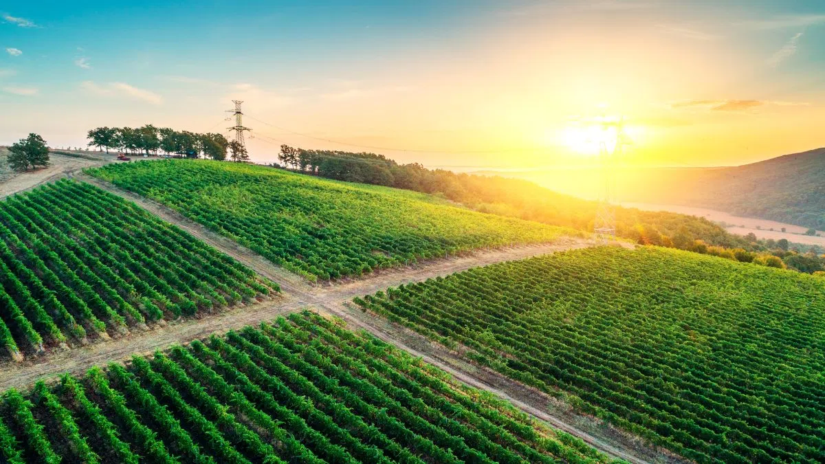 USDA Expands Export Financing To Support Farmers