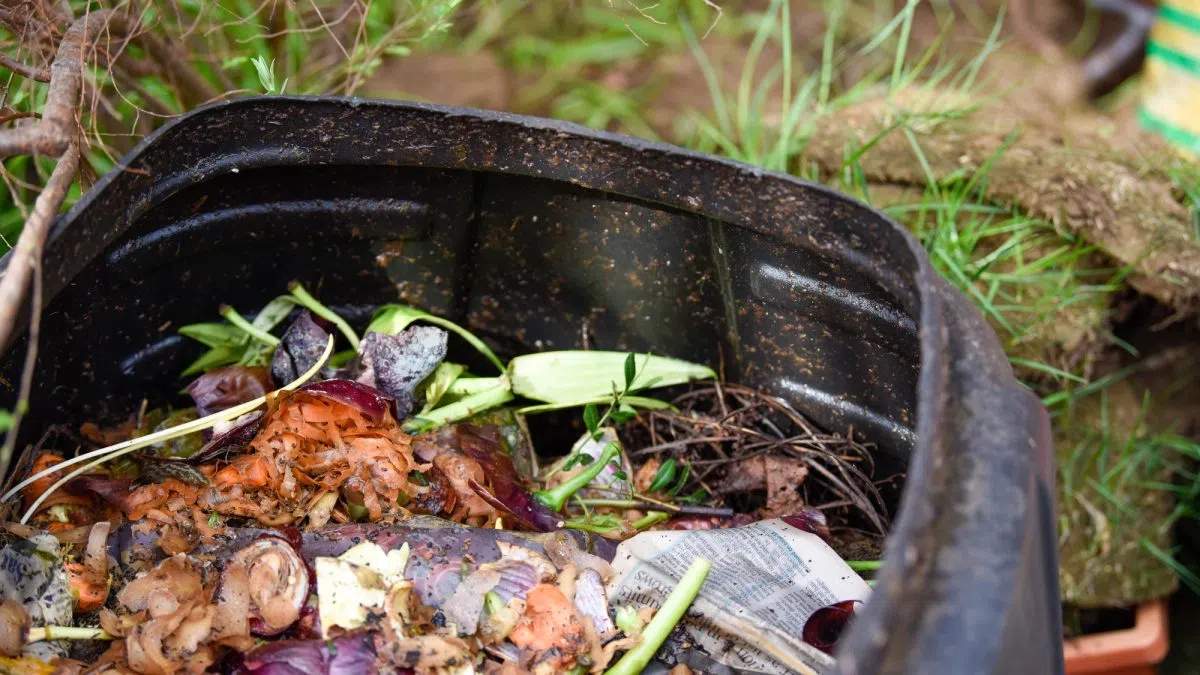 UC Researchers Develop Small-Scale Food Recycling System