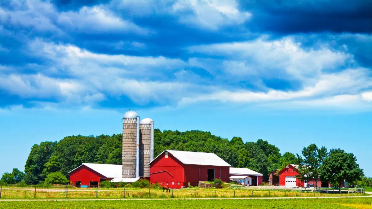 Farm Journal Survey Shows Producers “Fighting for Survival”