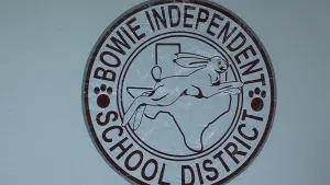 bowieisd