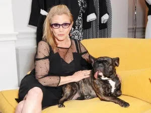 carriedog