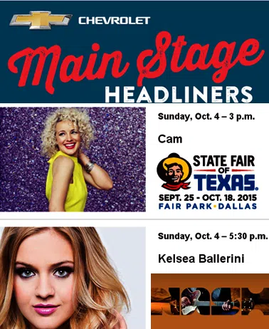 fair_TEXAS_graphic