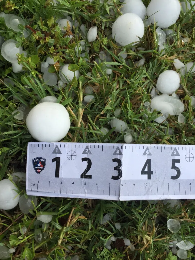 Photograph courtesy of the Arlington Police Dept.