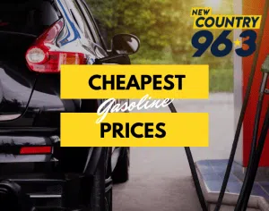 Find cheap gas prices at gasbuddy.com