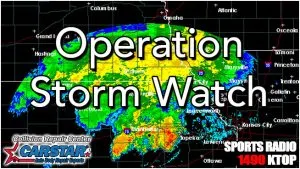 Operation Storm Watch LOGO 1490