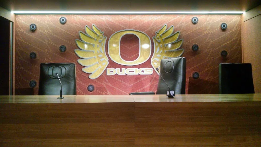 ducks-1