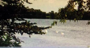 state lake