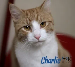 charlie