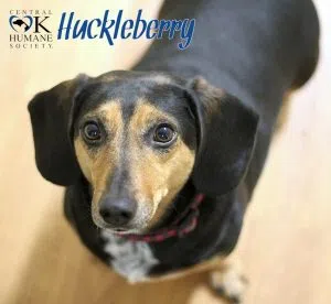 huckel