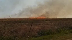 fire