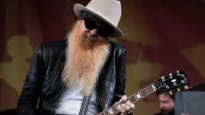 gibbons