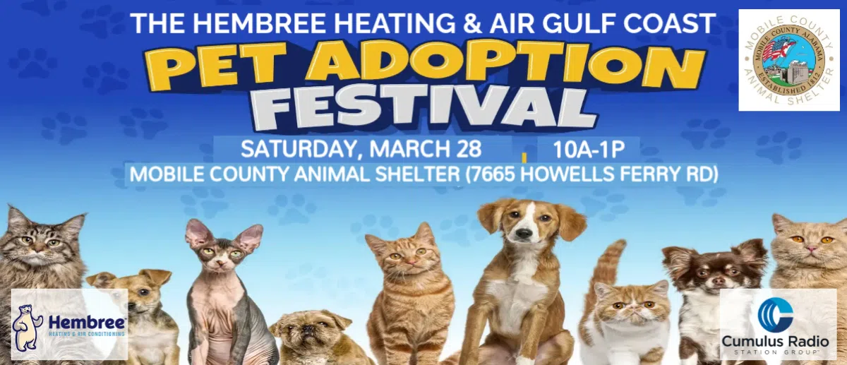 Feature: https://www.975wabd.com/pet-adoption-festival/