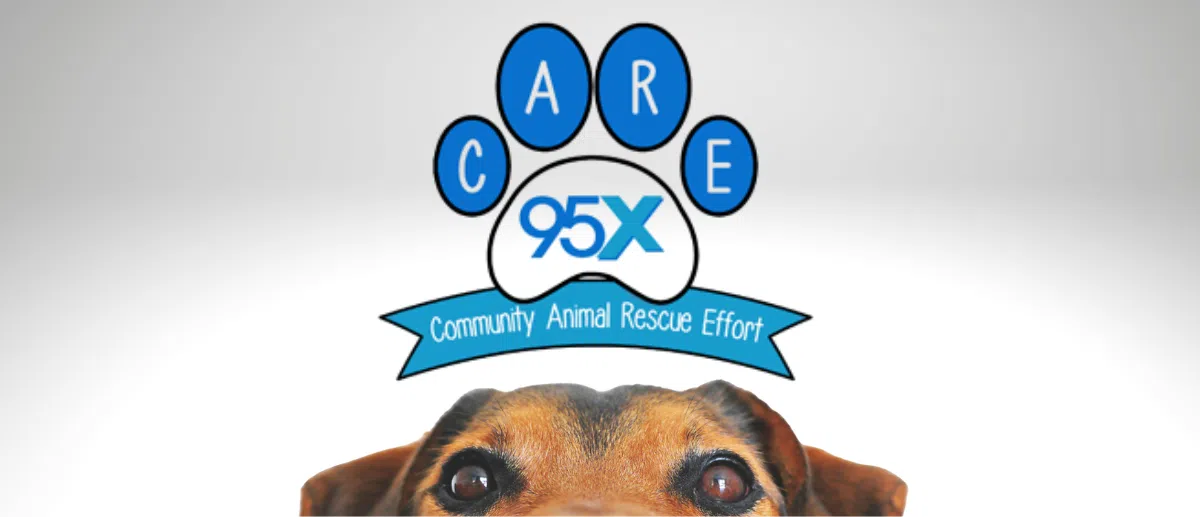95X CARES