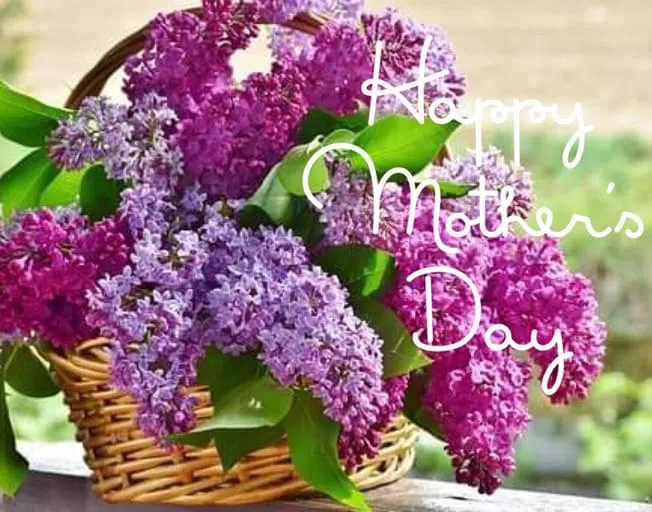 Happy Mother's Day