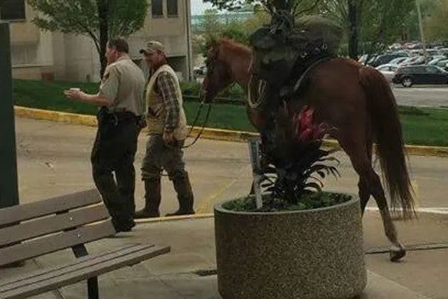 Man Rides Horse To Court