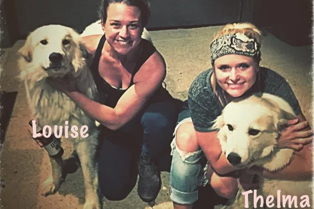 Miranda Lambert and her newly adopted dogs