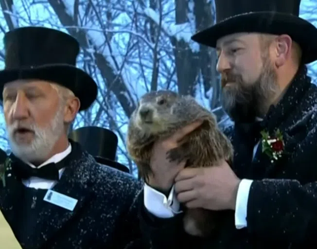 Punxsutawney Phil and handlers at Gobbler's Knob in Punxsutawney, Pennsylvania.