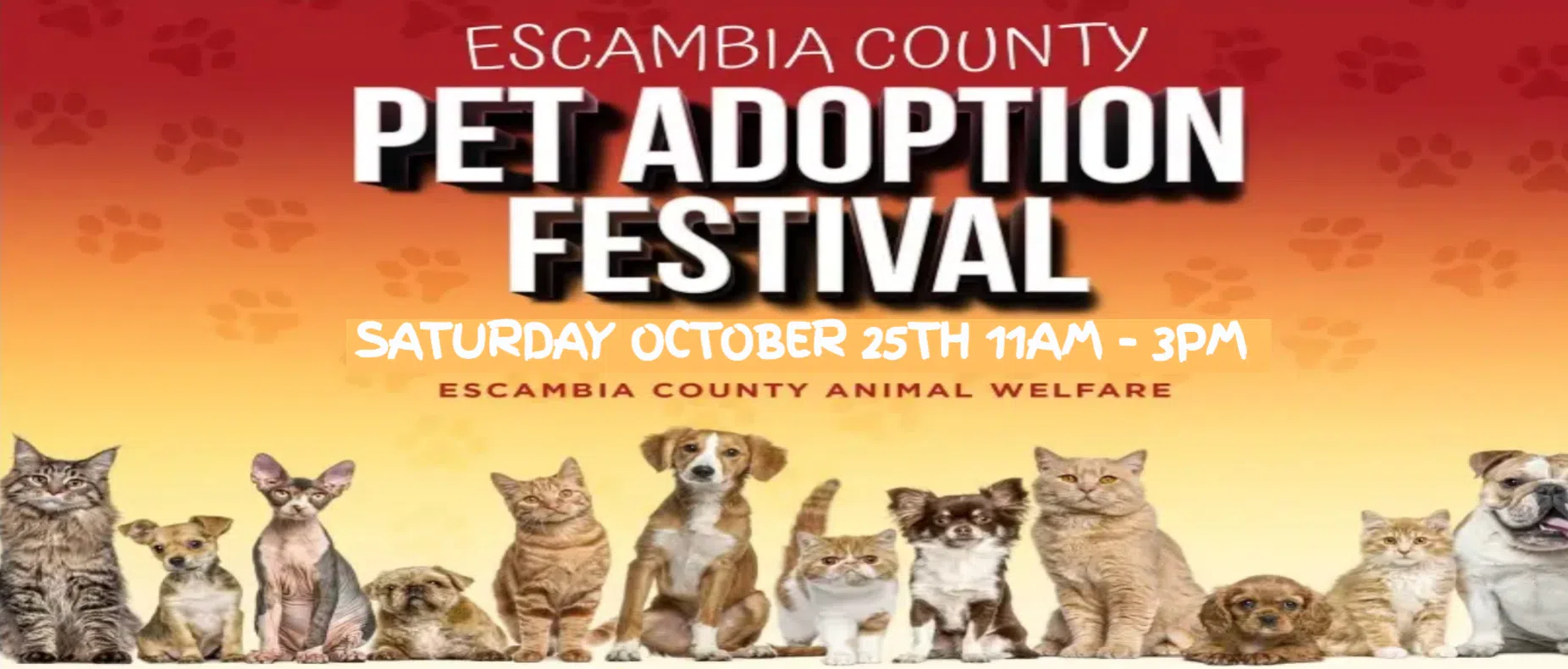 Feature: https://www.wcoapensacola.com/escambia-county-pet-adoption-festival/