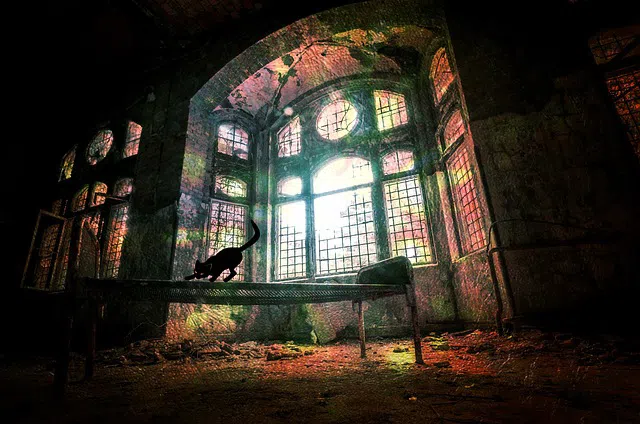 Haunted House Window