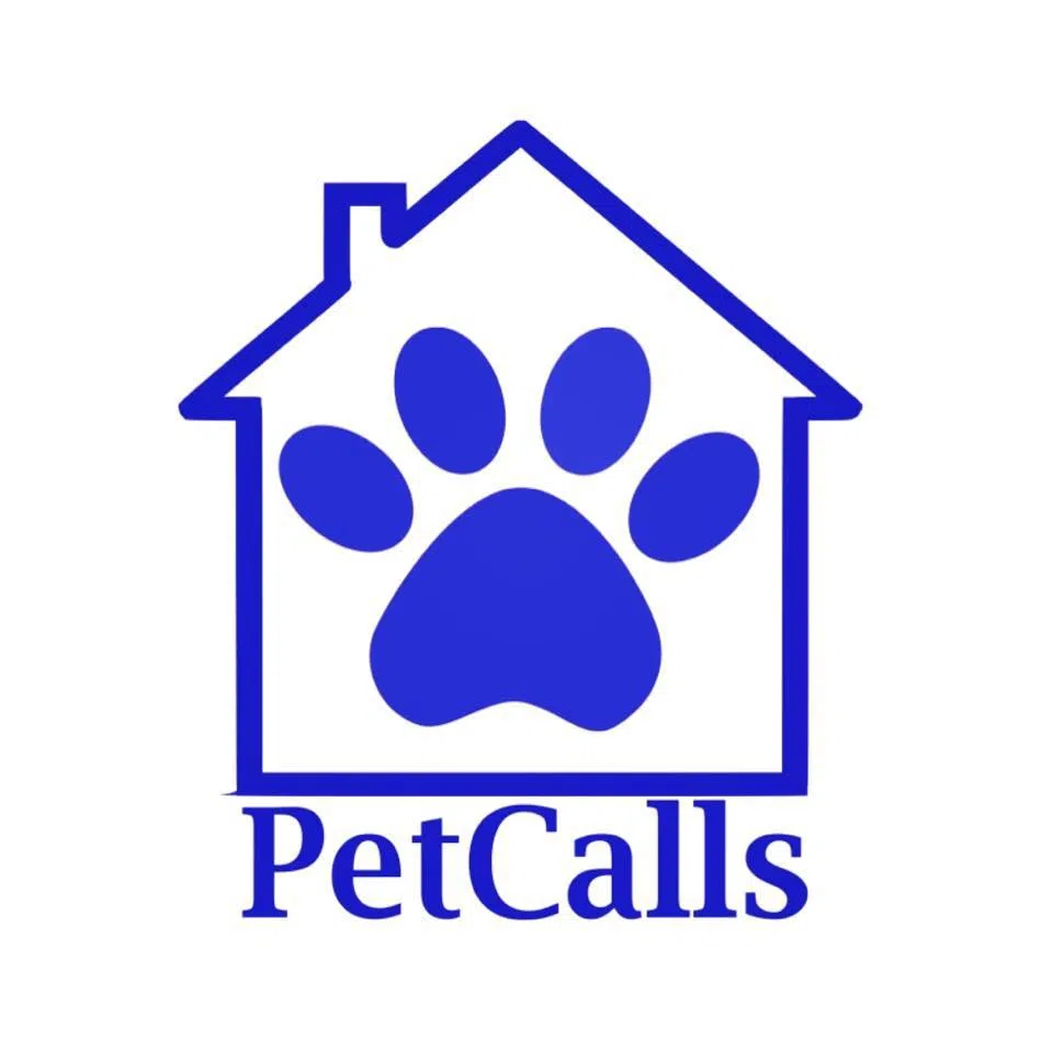 13606872_592042880956118_4488037394393982241_n