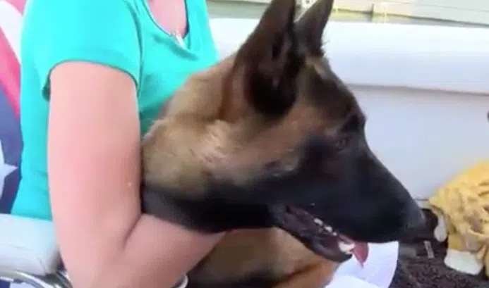 Screenshot WHTR report