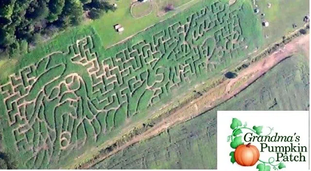 Kid-Rock-Corn-Maze-jpg