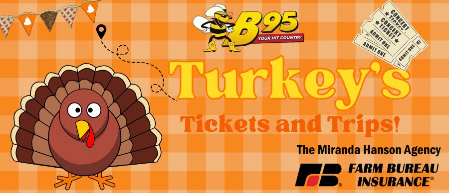 Feature: http://d3424.cms.socastsrm.com/turkeys-tickets-trips/