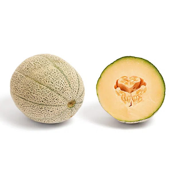 Canteloupe_and_cross_section