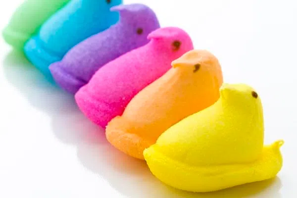 Rainbow color marshmallow peeps and jelly beans.