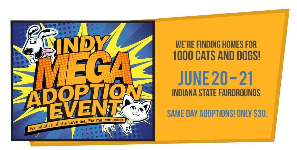 MEGA-ADOPTION